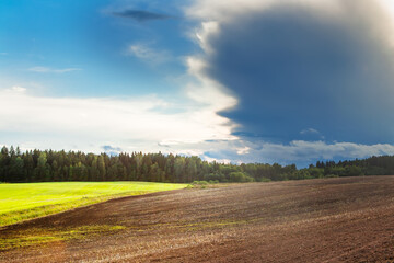 Fototapeta na wymiar Rain cloud over part of an agricultural field. 