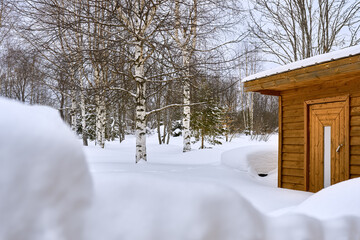 View of the birches standing in large snowdrifts and the old house. Snowy winter.