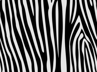 Seamless zebra skin pattern. Endless abstract background of dark and light stripes of zoo. Print on fabric and textiles. Vector background