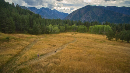 Obraz premium Boy and Dog