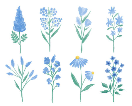 Vector collection of blue wildflowers hand painted in watercolor.
