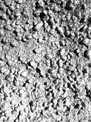 wall