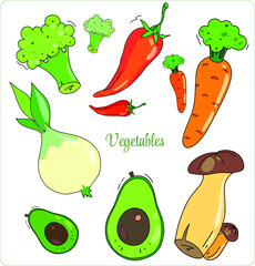 Healthy vegetables. A set of healthy food. Vector food. Gardening cooking and green hobbies. Transparent separate background.