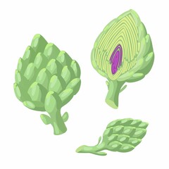 Green vector artichokes isolated on white background. Half and whole vegetable in flat style.