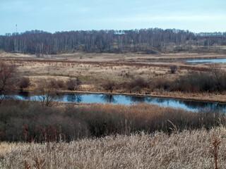 the bank of a small forest river on a cloudy day