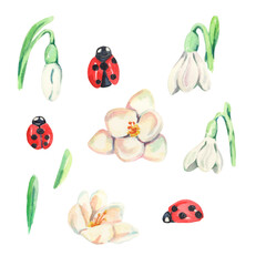 Watercolor snowdrops and ladybugs. Watercolor spring illustration. Watercolor spring set. Design for logo, cards, banners, children, kids, gifts, greetings, backgrounds. Springtime. First flowers