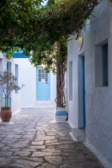 Greece, Melos island, Chora town, Plaka. Blue door plant in amphora, alley Milos Cyclades.