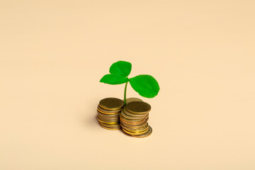 Golden coins and clover leaf on beige background, closeup copy space