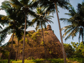 Fototapeta na wymiar Reis Magos Fort with palm trees