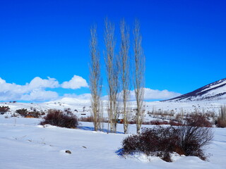 Magic winter in the mountains