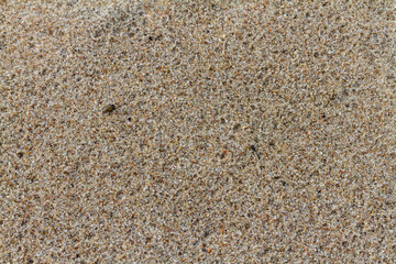 Grainy sand beach