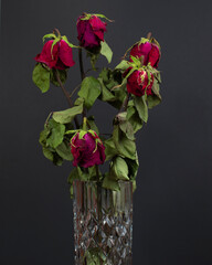 bouquet of five dried reds in a crystal vase on a black background