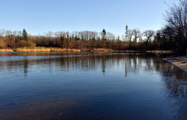 Baggersee in Freiburg-Opfingen an einem sonnigen Wintertag