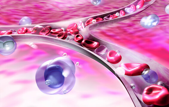 3d illustration of the anatomy of a vein or artery and blood circulation. On organic background with moving blood cells and platelets.