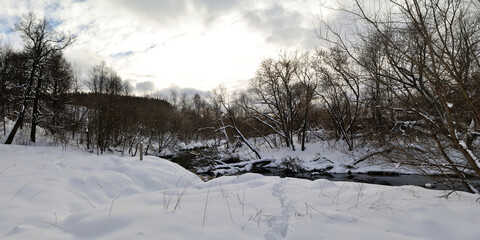 Spring walk through the forest, beautiful panorama.