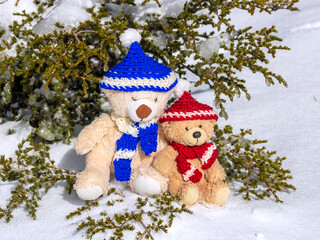 Two teddy bears beside snowy fir tree
