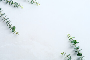 Green eucalyptus leaves on stone table. Frame made of eucalyptus plant branches. Flat lay, top view, copy space © photoguns