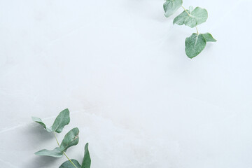 Eucalyptus leaves on stone table. Frame made of eucalyptus plant branches. Flat lay, top view,...