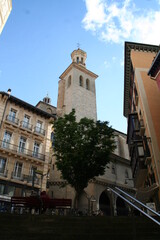 Church, old buidings and a tree in the historic center of Pamplona, Navarra, in Spain