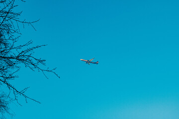 plane flies in the sky