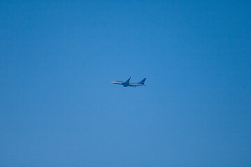 plane flies in the sky