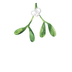 Mistletoe branches with leaves for the design of postcards, posters and other printed products. Watercolor style. Isolated image on a white background.