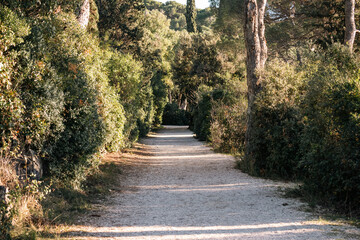 Gravel path leading through the dense park forest of Rovinj peninsula, following the coast