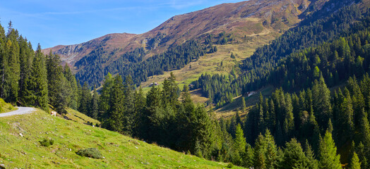 Schönes Bergpanorama im Salzburger Land oberhalb von Wald im Pinzgau,  Österreich.