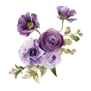 Watercolor flowers garden bouquet. Hand painted botanical illustration with purple flowers and foliage isolated on white background. Floral composition for you design