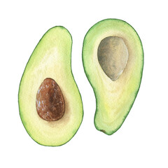 Avocado halves. Ripe and tasty fruit. Watercolor illustration hand drawn on a white background. Image for food design, cafe, kitchen decoration.