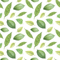 Seamless pattern with floral pattern. Green leaves. Hand drawn watercolor illustration. Image for wallpaper, packaging, wrapping paper, nature design.
