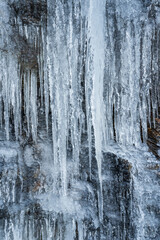 Fototapeta na wymiar 岩壁で凍った氷柱