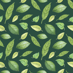 Seamless pattern with green watercolor leaves. Textile fabric, wrapping paper backdrop layout.