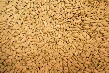 The background of white raw beans. Natural legume protein