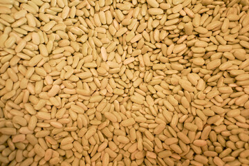 The background of white raw beans. Natural legume protein