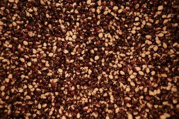 The background of white raw beans. Natural legume protein