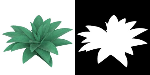 3D rendering illustration of a stylized succulent plant