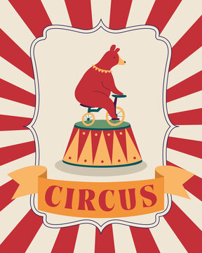 circus bear in bicycle poster