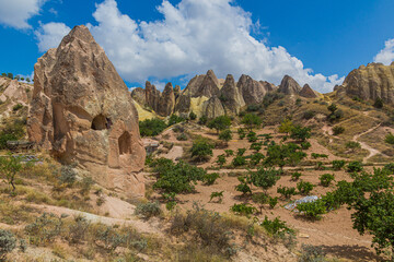 Fototapeta premium Rock formations and vineyards in Cappadocia, Turkey