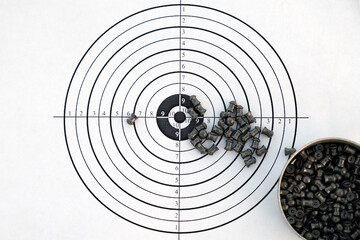target for shooting and pellets