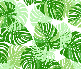 Exotic botanical variegated delicious monster monstera tropical seamless pattern on white background. Vector hand drawn illustration for wedding, surface, textile, wallpaper design.