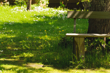 Old wooden bench in a summer park on a hot sunny day. Selective focus, with blurred natural background