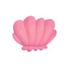 cartoon pink sea and sand shells on a white background, ocean, nature, scallop