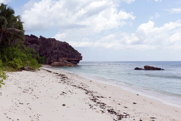 A wonderful tropical beach