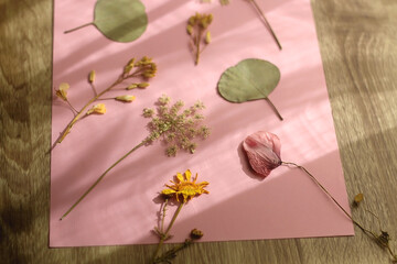 Pressed plants and flowers on pastel pink background. Selective focus.