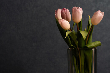 Bouquet of pink tulips in vase on a dark gray background with copy space