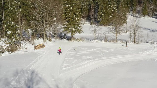 Aerial view of two cross country skiers and beautiful white ski tracks near the evergreen forest, till the drone crashes into the branches.