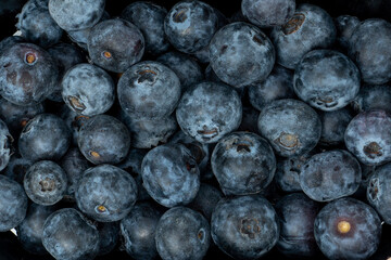 a lot of fresh and tasty organic blueberries, vegetarian background