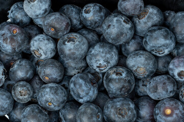 a lot of fresh and tasty organic blueberries, vegetarian background
