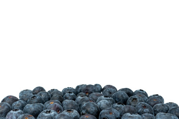 handful of fresh blueberry as bottom frame line on light background, copy space